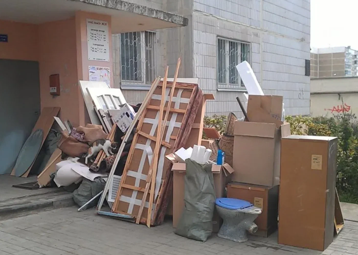 Профессиональный вывоз мусора из квартиры в Сургуте в октябре